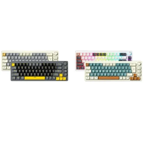 Zifriend AG68 67 Keys Hot-Swappable Rainbow Bcaklit Mechanical Keyboard (Red Switch)