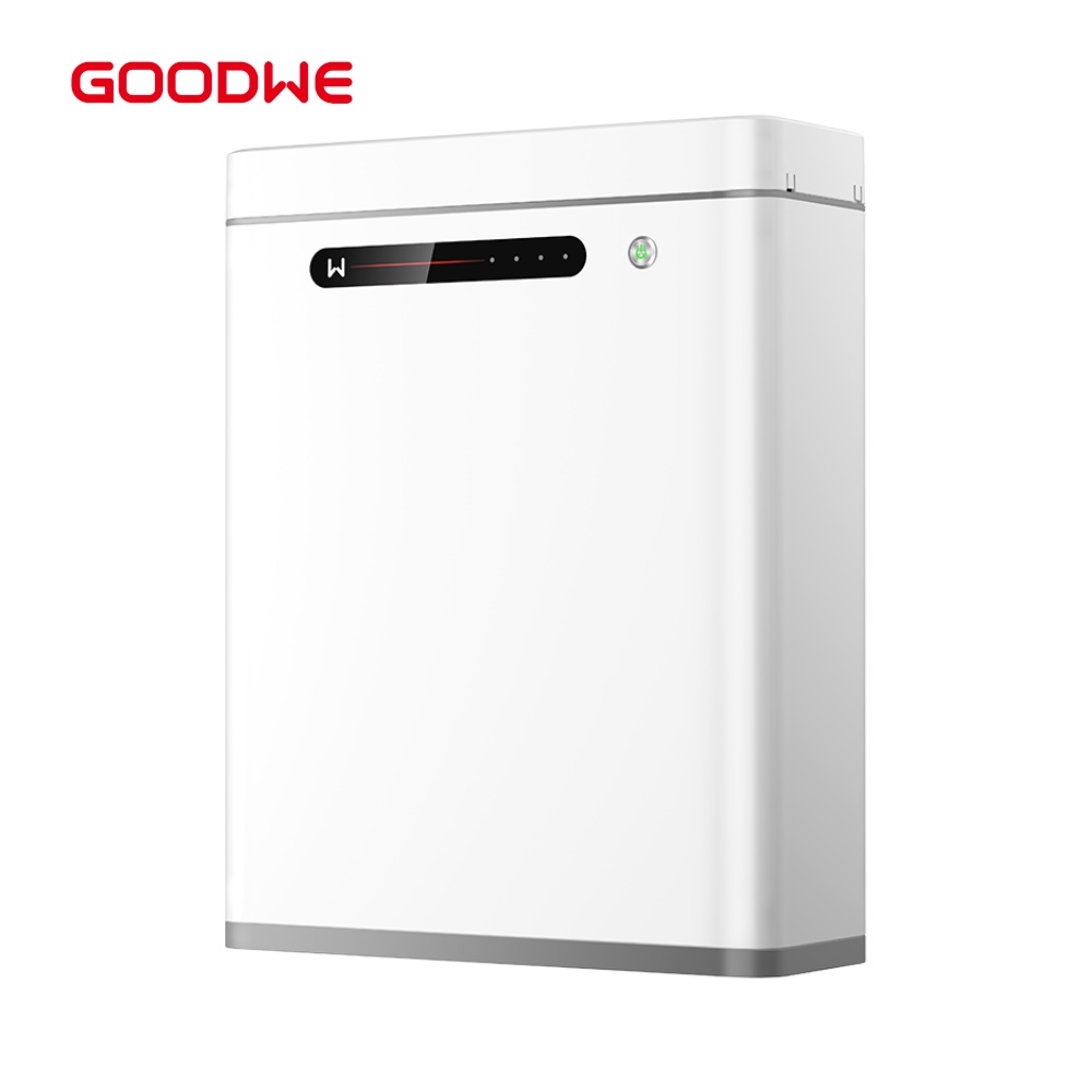 GoodWe 5kWh Lithium Battery - 51.2V, 100Ah LifePO4 Battery for Energy Storage (Lynx A 5.0-30 )