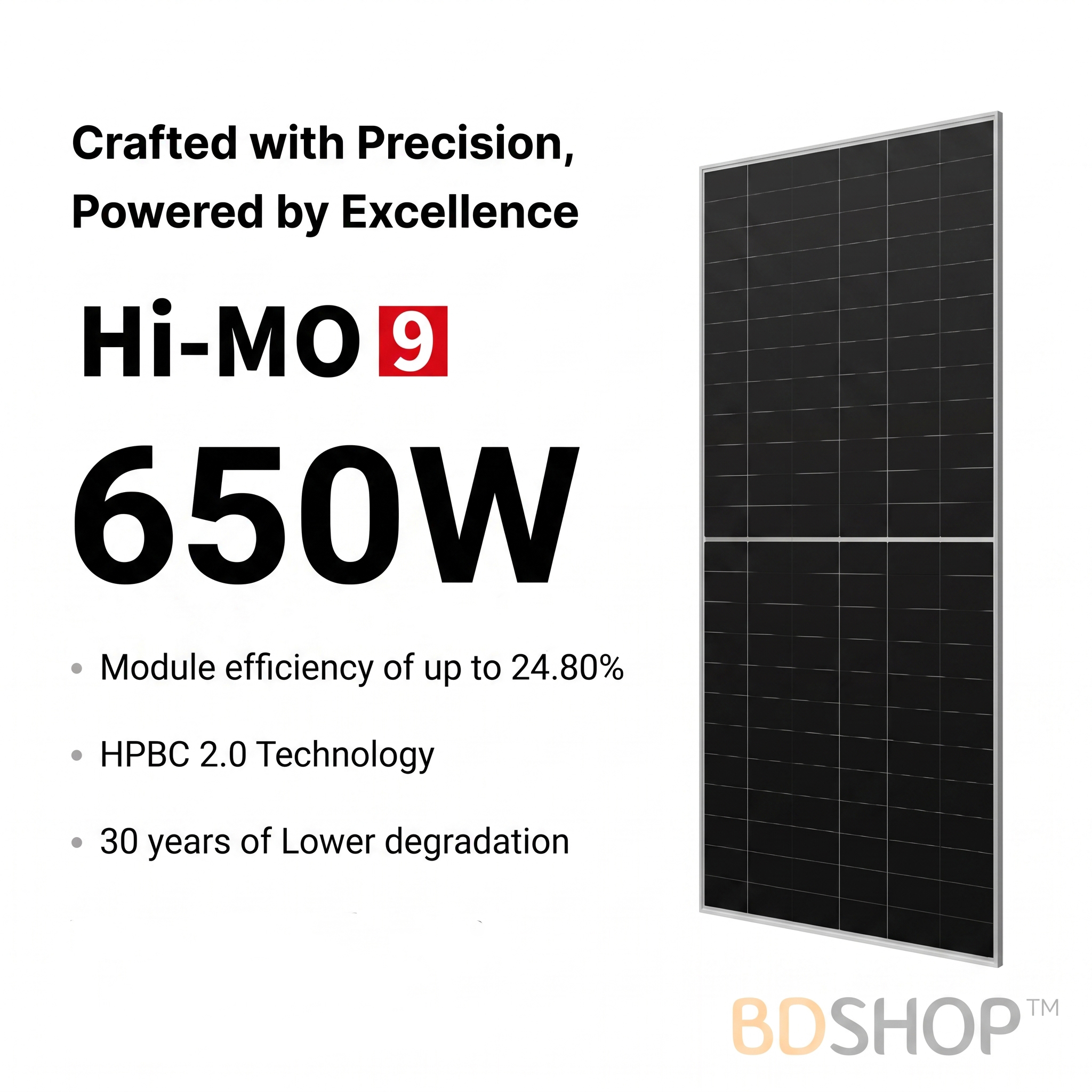 Official Longi 650W Hi-MO 9 Back Contact Technology Bifacial Solar Panel LR8-66HYD-650M (650W)