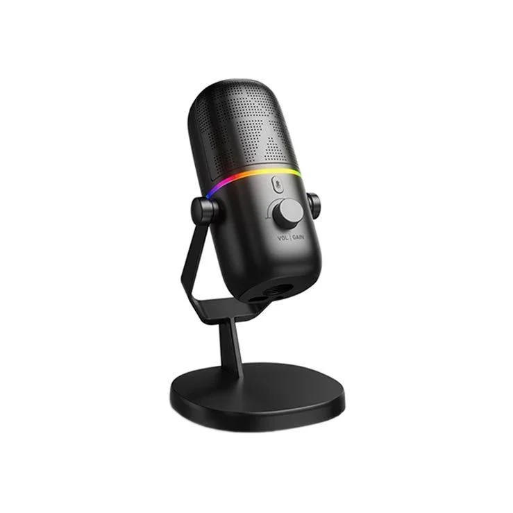HAYLOU GX1 Professional Live Microphone With RGB Light - Black
