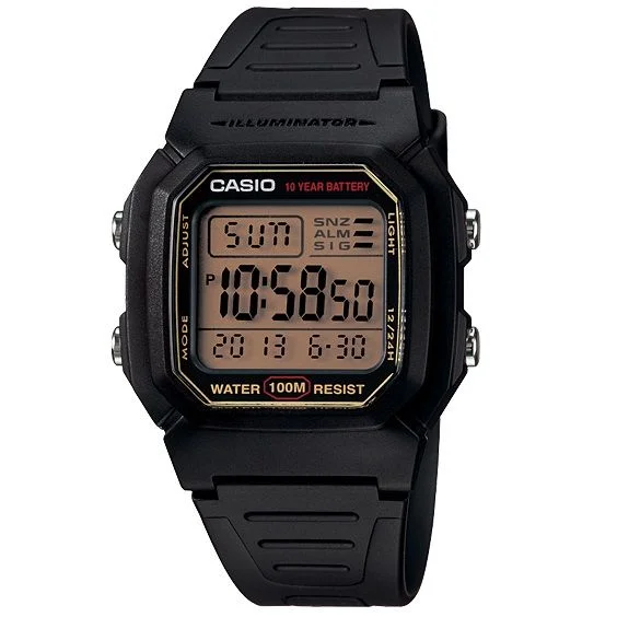Slandered Watch for men by Casio (W-800HG-9AV)